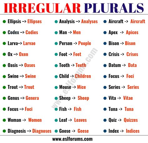 plural words without s.